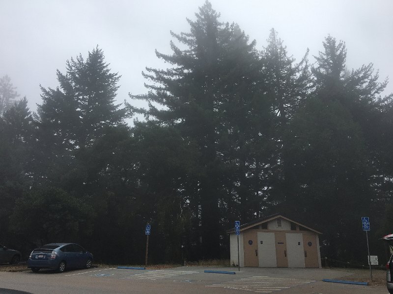 IMG 0602