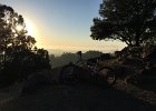IMG 0633
