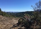 IMG 0702