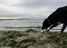 IMG 0804