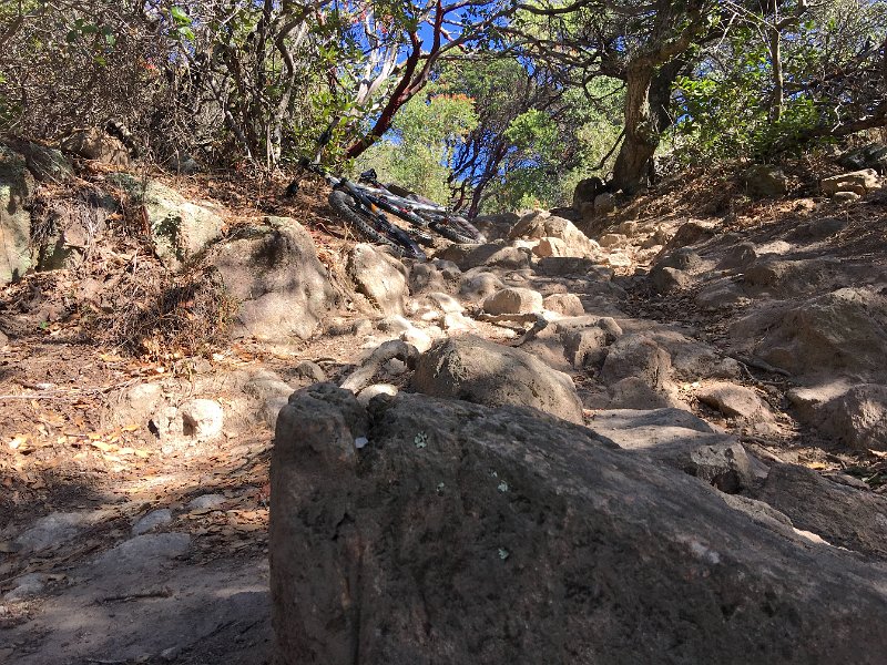 IMG 0820