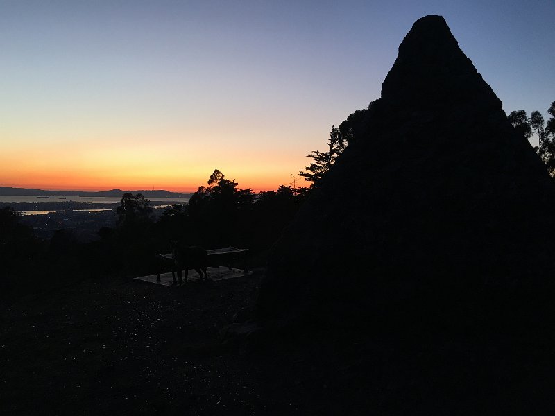 IMG 0866