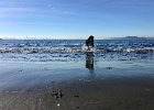 IMG 0970
