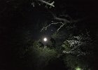 IMG 1099  Full moon about to occult Mars. iPhone 6s camera is not up to that dynamic range.