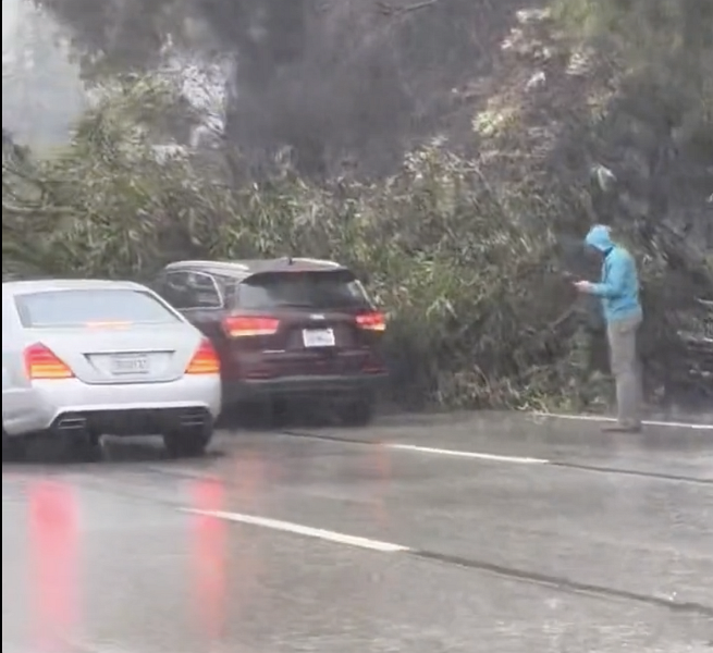 oakland 580 tree down screencap