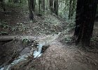 IMG 1382