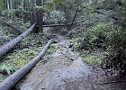 IMG 1383