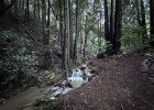 IMG 1384