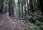 IMG 1386