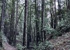 IMG 1390
