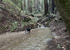 IMG 1402