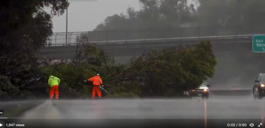 580 trees in 3and4 lanes