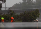 580 trees in 3and4 lanes  Screen cap of same video. This tree had been cleared by the time I came through.