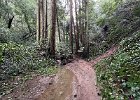 IMG 1468