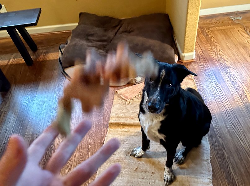 IMG 1500