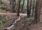 IMG 1514