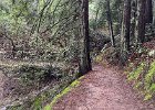 IMG 1533