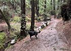 IMG 1544