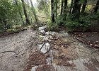 IMG 1611