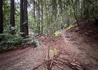 IMG 1612