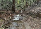 IMG 1613