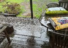 IMG 1626