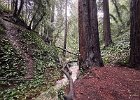 IMG 1726