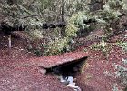 IMG 1768