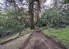 IMG 1835