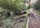 IMG 1863