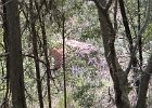 IMG 1866  Enhance!