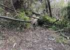 IMG 1871