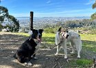 IMG 2179
