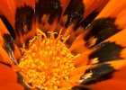 IMG 2187  Enhance!