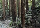 IMG 2352