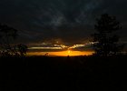 IMG 2471