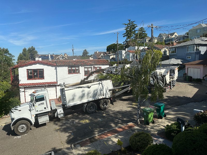 IMG 2785