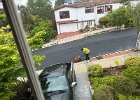 IMG 2951