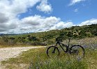IMG 3007