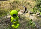 IMG 3223