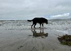 IMG 3532