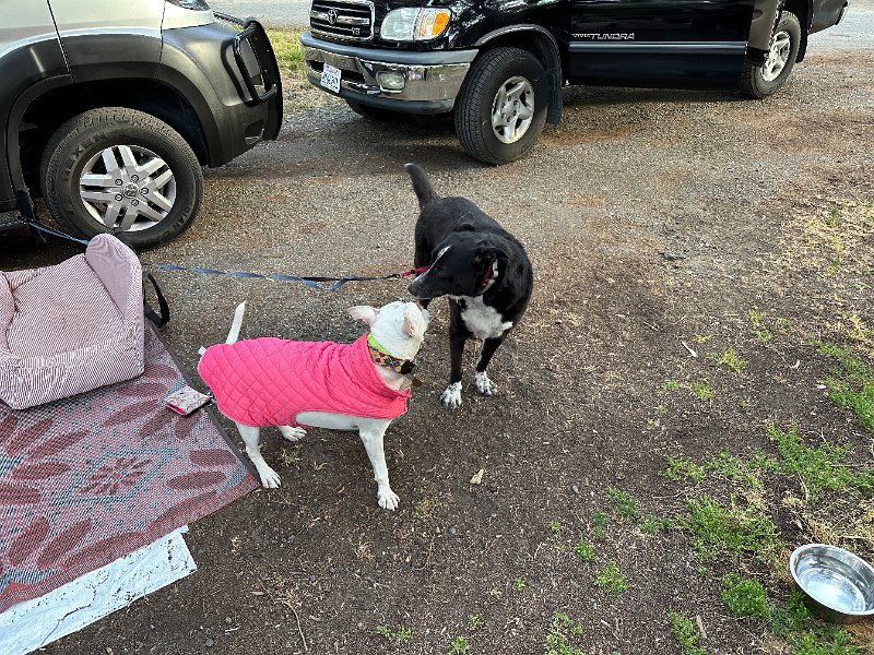 IMG 3581