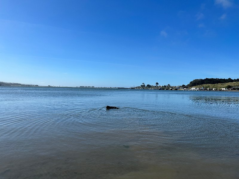 IMG 3597