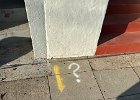 IMG 3816