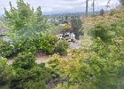 IMG 3883