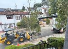 IMG 3904