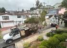 IMG 3906