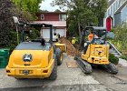 IMG 3914