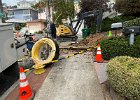 IMG 3932