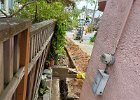 IMG 3934